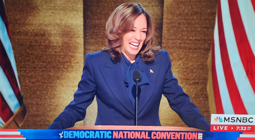 VP Kamala Harris Accepts DNC Presidential Nomination